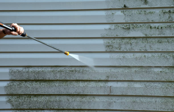 Best Best Pressure Washing Companies  in Overton, TX